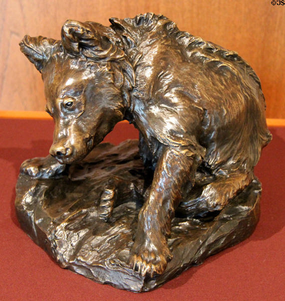Bronze cast of Bear Cub Grooming (c1887; cast 1900?) by Paul Bartlett at Amon Carter Museum of American Art. Fort Worth, TX.