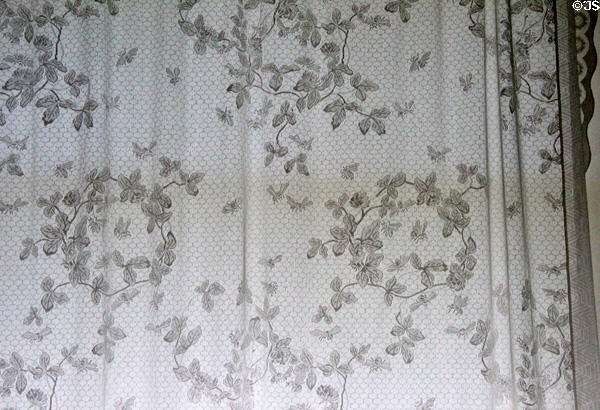 Lace curtain detail at Neill-Cochran House Museum. Austin, TX.