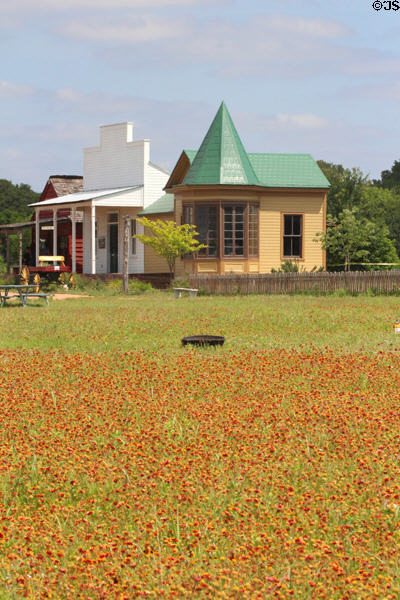 Pioneer Farms structures over red wildflowers. Austin, TX.