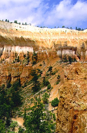 Eroded cliff formations of Bryce Canyon National Park. UT.