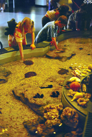 Touch pools of tidal creatures at Nauticus National Maritime Center. Norfolk, VA.