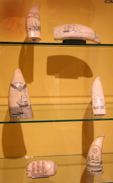 Collection of scrimshaw Sperm whale teeth at Shelburne Museum. Shelburne, VT.