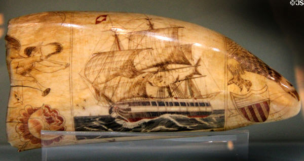 Scrimshaw whale tooth with engraved tall ship (19th C) at Shelburne Museum. Shelburne, VT.