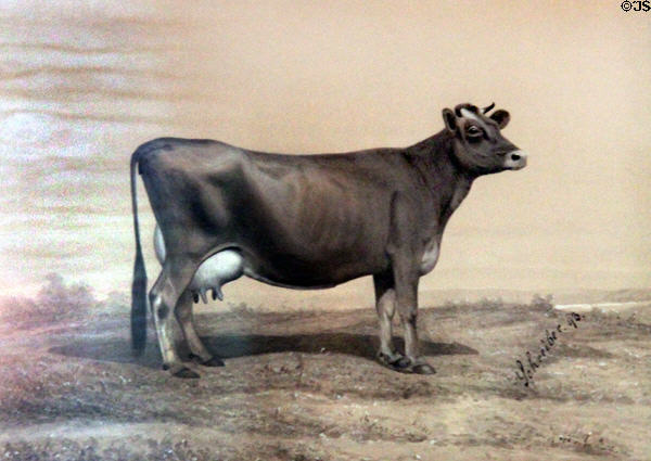 Portrait of a cow (1893) by Schreiber at Billings Farm & Museum. Woodstock, VT.