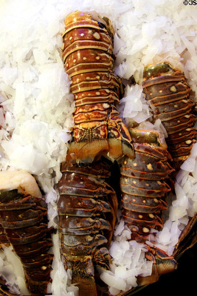 Lobster tails in Pike Place Market. Seattle, WA.