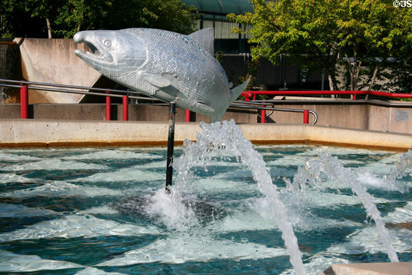 Salmon sculpture jumps in fountain at Theater on the Square. Tacoma, WA.