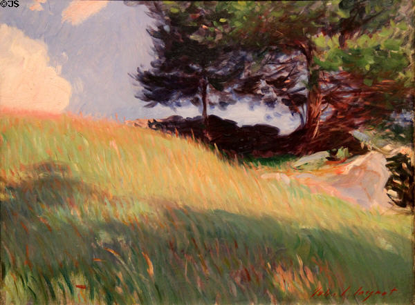 Near June Street, Worcester, MA painting (1890) by John Singer Sargent at Huntington Museum of Art. Huntington, WV.