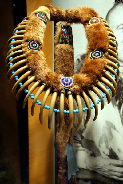 Iowa Indian bear claw necklace with glass beads (c1920) at Buffalo Bill Center of the West. Cody, WY.