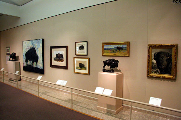 Buffalo art gallery at Buffalo Bill Center of the West. Cody, WY.