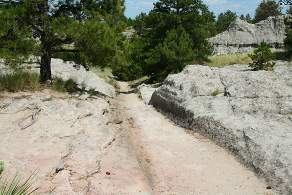 Oregon Trail wagon wheel ruts at Guernsey, WY. On National Register.
