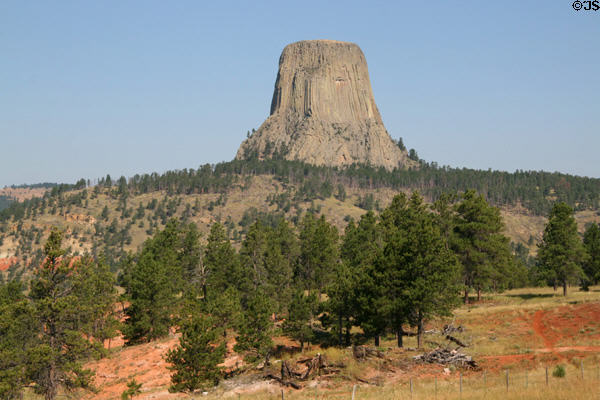 Devils Tower above pines. WY.