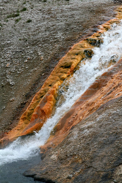Colored deposits along Excelsior Geyser outflow stream at Yellowstone National Park. WY.