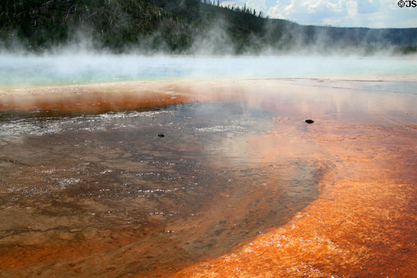 Grand Prismatic Spring beside Excelsior Geyser at Yellowstone National Park. WY.