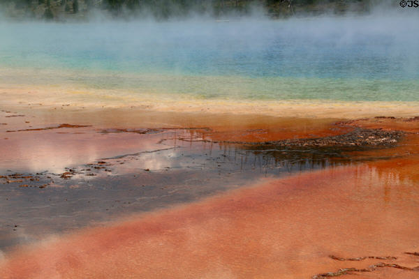 Colors of Grand Prismatic Spring caused by microorganisms in 70 degree C water at Yellowstone National Park. WY.