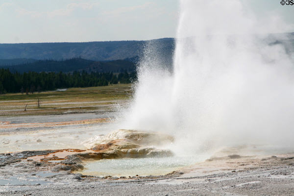 Geyser spouts along Fountain Paint Pots trail at Yellowstone National Park. WY.