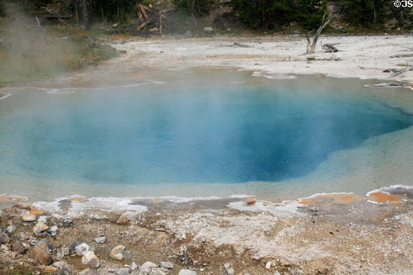 Deep-blue pool steams at Yellowstone National Park. WY.