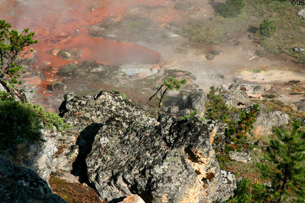 Colored pools of Artist's Paintpots area at Yellowstone National Park. WY.
