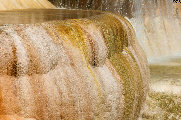 Travertine details of Minerva Terrace of Mammoth Hot Springs at Yellowstone National Park. WY.