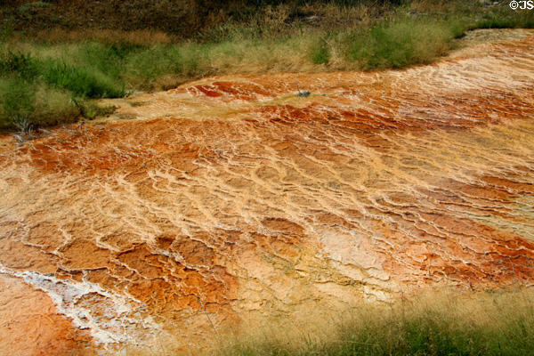 Ripple surface near Mammoth Hot Springs in Yellowstone National Park. WY.