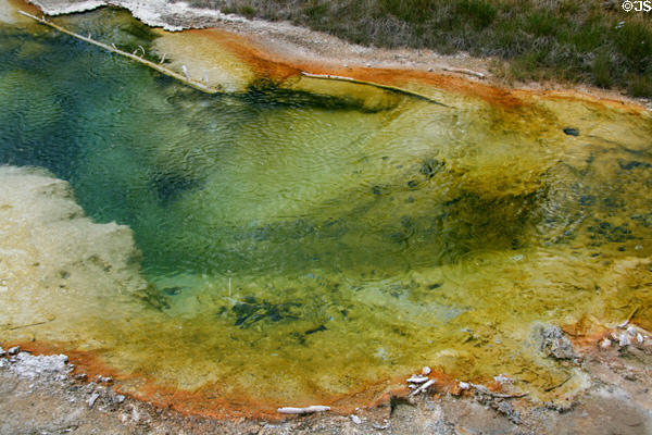 Colored pool of West Thumb Geyser Basin on Yellowstone Lake in Yellowstone National Park. WY.