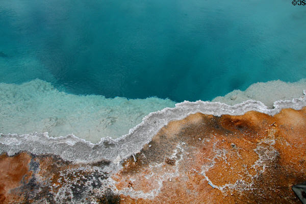 Edge of colored pool of West Thumb Geyser Basin on Yellowstone Lake in Yellowstone National Park. WY.