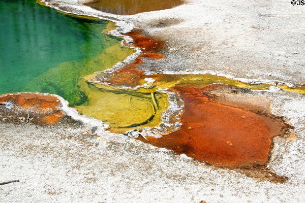 Blue, green, yellow & reds of hot springs pool at Yellowstone National Park. WY.