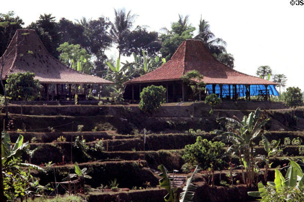 Typical open-air houses in Java countryside. Jogyakarta, Indonesia.