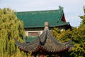 Chinese tiled roofs at Dr. Sun Yat-Sen Park. Vancouver, BC.