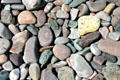 Colored rocks on beach on Bay of Fundy. NB.