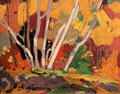 Autumn Birches painting on board by Tom Thomson at McMichael Gallery. Kleinburg, ON.