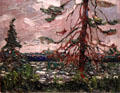 Ragged Pine painting on board by Tom Thomson at McMichael Gallery. Kleinburg, ON.