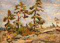 Pines Against the Sky painting on board by Arthur Lismer at McMichael Gallery. Kleinburg, ON.