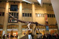 Sauropod dinosaur skeleton in entrance hall at Royal Ontario Museum. Toronto, ON.