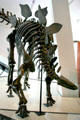 dinosaur skeleton from Late Cretaceous at Royal Ontario Museum. Toronto, ON.