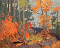 Autumn, Algonquin Park painting on board by Tom Thomson at Art Gallery of Ontario. Toronto, ON.
