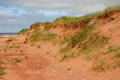 Dunes along west coast of PEI. PE