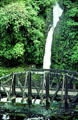 Waterfall and bridge on road to Poas. Costa Rica.