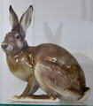 Hare figurine by Ottmar Obermaier for Rosenthal Porzellan at German Hunting & Fishing Museum. Munich, Germany.