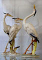 Heron figurines by Hans Achtziger for Hutschenreuther at German Hunting & Fishing Museum. Munich, Germany.