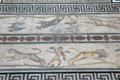 Detail of winged man between leopard & lion on Roman mosaic section of Orpheus floor from Miletus at Pergamon Museum. Berlin, Germany.