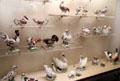 Collection of porcelain bird figures done under sculpting dept. of Johann Joachim Kaendler at Meissen porcelain museum at Lustheim Palace. Munich, Germany.