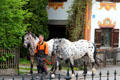Workman leading two dappled horses along sidewalk. Oberammergau, Germany.