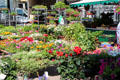 Flower shop in Market Area. Ulm, Germany.