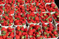 Strawberries in Market Area. Ulm, Germany.