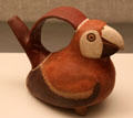 Moche ceramic stirrup-spout bottle in shape of parrot from Peru at Museum of America. Madrid, Spain.