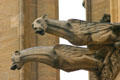 Gargoyles on Cathedral of St Etienne. Metz, France.