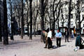 Men playing game of boules on triangular Place Dauphine on western tip of Isle de la Cité. Paris, France