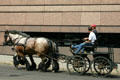 Horse & carriage. Strasbourg, France.