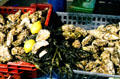 Oysters at Carnac open air market. Carnac, France.