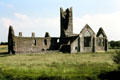 Ruins of Dominican Kilmallock Abbey. Ireland